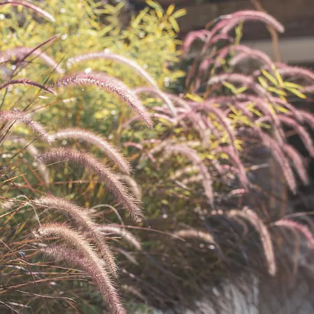 Hotel Ami-tai Luxury Honeymoon