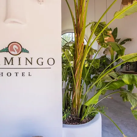 Deluxe Pet Friendly Hotel