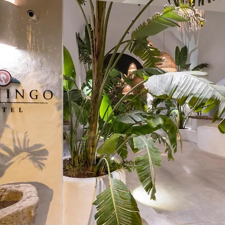 Hotel Deluxe Pet Friendly Fethiye