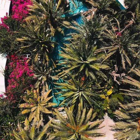 Ami-tai Luxury Honeymoon Отель