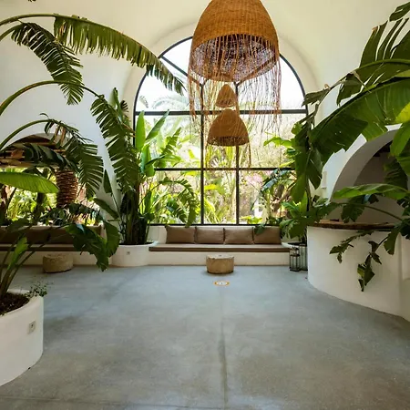 Deluxe Pet Friendly Hotel