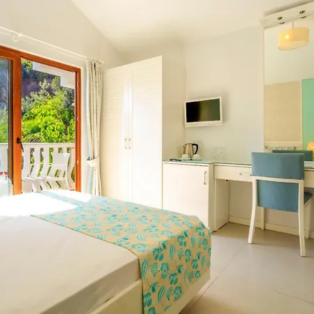 Deluxe Pet Friendly Fethiye