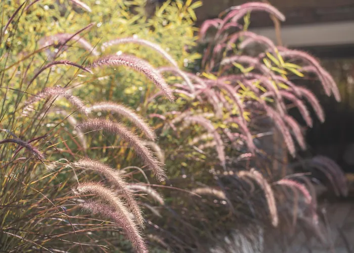 Отель Ami-tai Luxury Honeymoon